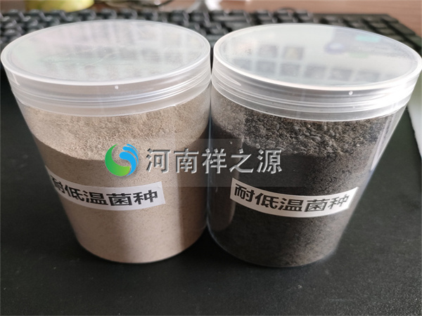 �������͵͜ؾ��N