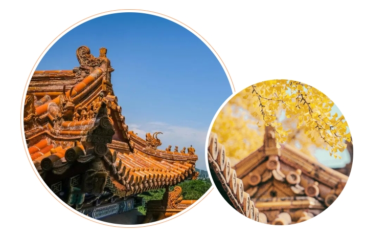 東方美學(xué)｜誰懂啊！我真的被這